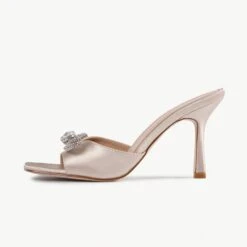 RAID Renee Heeled Mule In Champagne Satin