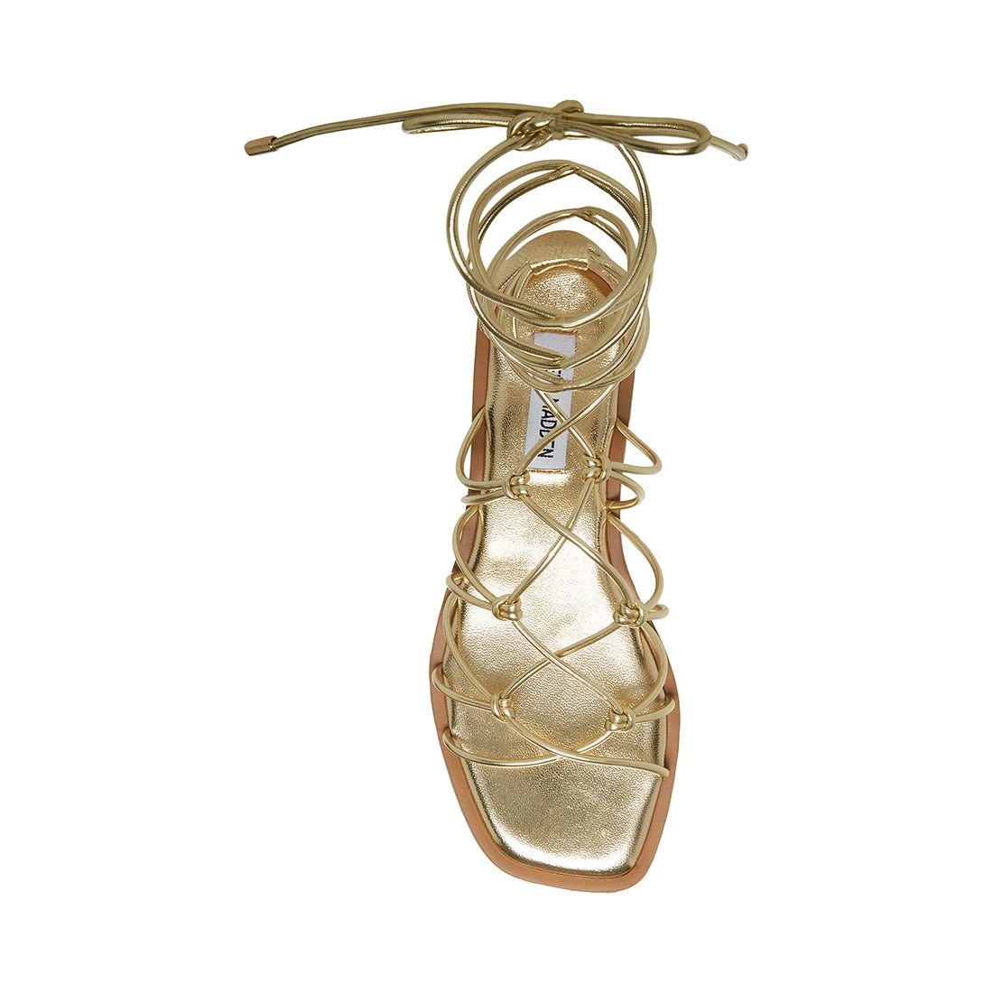 AINSLEY GOLD - Image 4